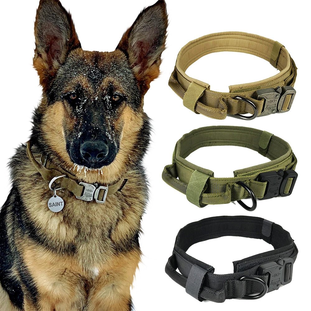 Rugged Padded Nylon Tactical Dog Collar for Better Control