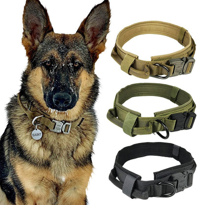 Rugged Padded Nylon Tactical Dog Collar for Better Control