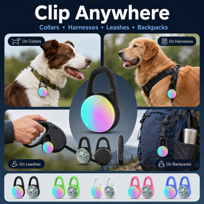 Dog Collar Light, Rechargeable Clip-On LED for Night Walks