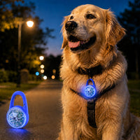 Dog Collar Light, Rechargeable Clip-On LED for Night Walks