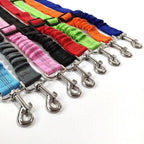 Dog Car Seat Belt