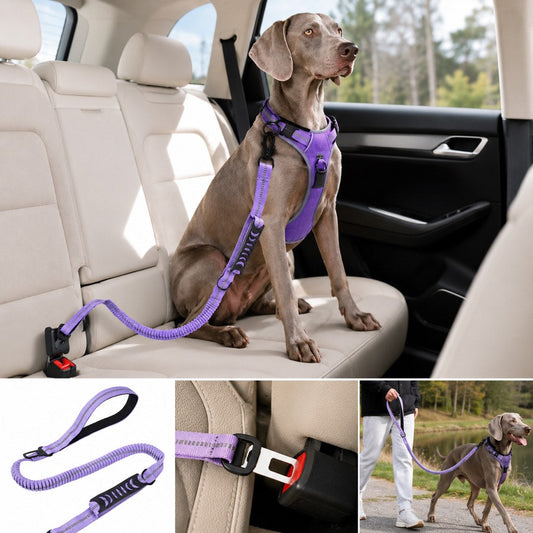 Dog Seat Belt Leash for Car, Reflective Bungee Tether