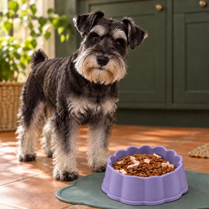 Stylish Scalloped Pet Bowl for Charming Food & Water Time