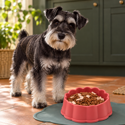 Stylish Scalloped Pet Bowl for Charming Food & Water Time