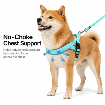 Step-In Dog Harness and Leash Set for No-Choke Daily Walks