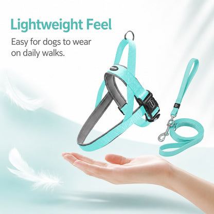Step-In Dog Harness and Leash Set for No-Choke Daily Walks