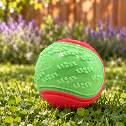 Bouncy Squeaky TPR Dog Ball for Exciting Fetch Games