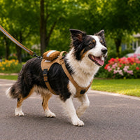 Tactical Dog Harness with Storage Pouch for Daily Walks