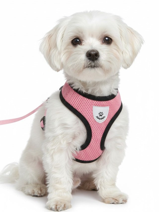 Adjustable Mesh Cat & Small Dog Harness Vest with Walking Leash
