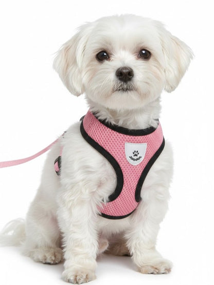 Adjustable Mesh Cat & Small Dog Harness Vest with Walking Leash