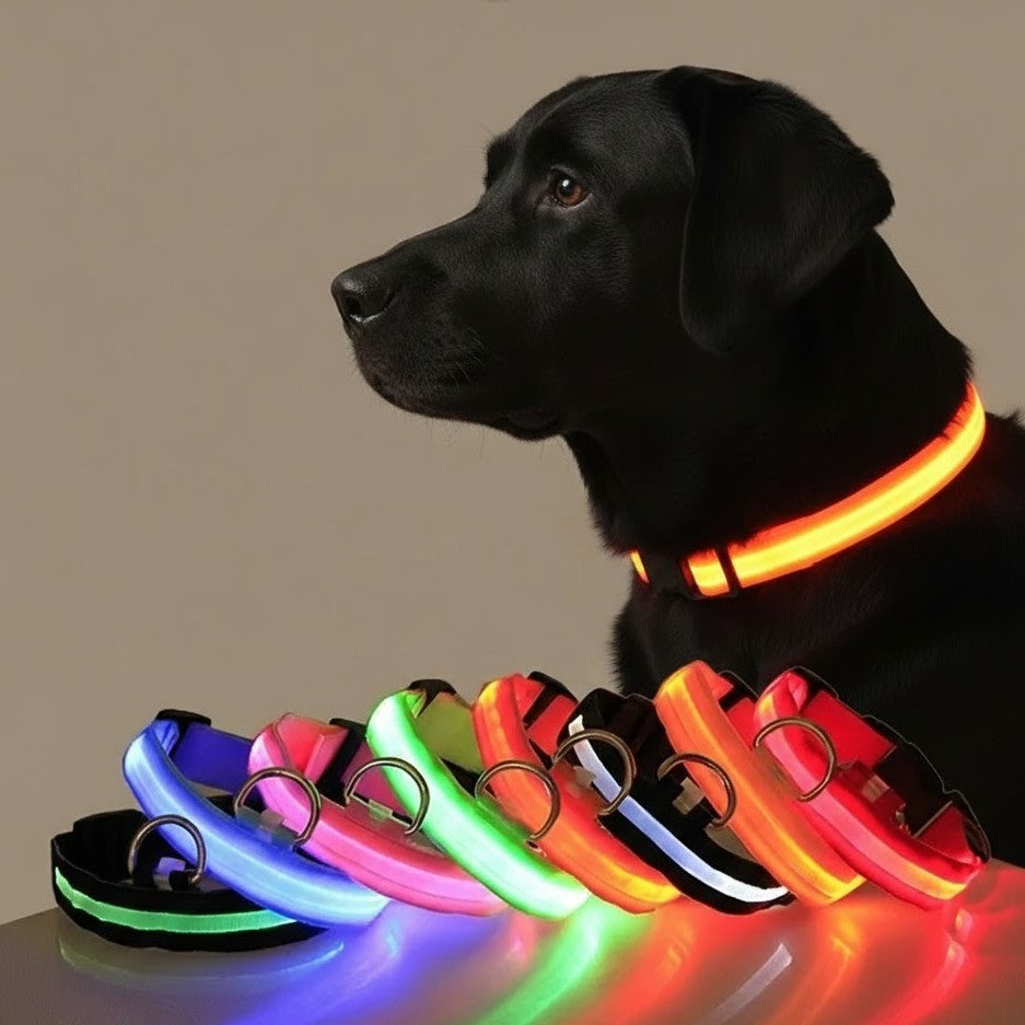 Ultra-Bright LED Night Safety Dog Collar